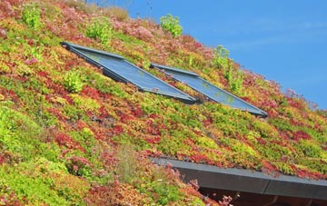 Collipriest living roof systems